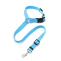 Set guinzaglio e collare per cani in nylon blu con gancio in metallo resistente e fibbia. - Modello B - celeste