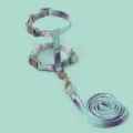Gradient tie-dye pet cat harness and leash set, adjustable h-style anti-escape design for daily walking. - S / Teal Green