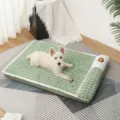 Pluche hondenbed mat, wasbaar comfortabel slaapkussen voor huisdieren in alle seizoenen. - M (50*35 cm) / Groen