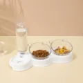 Gamelle double automatique pour animaux blancs avec bouteille d'eau et design d'ours. - Blanc (bol transparent)