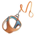 Orange Pet Dog Harness and Leash Set Reflective Vest Style Anti Escape Walking Rope for Pets - XXXS / 1.5m Leash / Orange and Blue