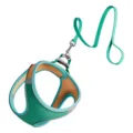 Ensemble harnais et laisse pour chien et chat turquoise avec bandes réfléchissantes de sécurité. - Vert Orange Bicolore