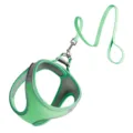 Ensemble harnais et laisse pour chien en filet vert avec bandes réfléchissantes pour animaux. - Vert Gris Bicolore