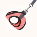 Red mesh pet vest harness with grey leash, breathable small dog and cat walking strap. - Orange