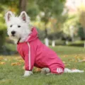 Imperméable rose pour chien avec capuche vêtements pour animaux à quatre pattes pour petits chiens - S / Rouge