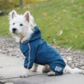 Imperméable pour chien bleu imperméable quatre pattes veste de pluie pour animaux - S / Bleu