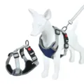 Blauwe mesh honden tuigje reflecterend vest met riem voor huisdieren veilige dagelijkse wandeling. - S / Donkerblauw