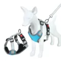 Ademend mesh honden tuigje met riem reflecterend anti-trekken huisdieren vest voor kleine honden. - S / Lichtblauw