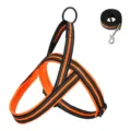 Oranje reflecterende mesh hondentuig en lijn set ademend huisdier vest voor kleine honden. - S / Oranje