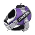 Purple reflective dog harness for large medium dogs with service dog patch and sturdy handle - XS: Neck 29-36cm / Bust 41-49cm / Purple