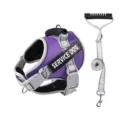 Purple reflective dog harness and leash set for medium large dogs service dog gear - Purple (Harness + Leash)