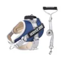 Blue reflective dog harness and leash set, breathable mesh pet chest strap for dogs. - Dark Blue (Harness + Leash)