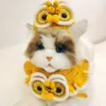 Handcrafted Chinese style lion dance cat hat and collar set, festive cute knitted pet costume for new year. - (Yellow) Lion Dance Hat + Neck Warmer 2-Piece Set