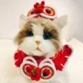 Handmade knitted red cat lion dance hat and cape set festive pet costume detail display - (Red) Lion Dance Hat + Neck Warmer 2-Piece Set