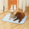 Cooling pet mat for dogs and cats, breathable ice silk summer pad for small medium pets. - 30x40 / Light Blue