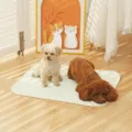 Summer pet cooling mat for dogs and cats, breathable ice silk pad for small and medium dogs. - 30x40 / Light Green