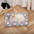 Soft fleece pet blanket with star pattern and realistic plush cat toy detail in a cozy home setup. - Grey Star