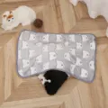 Grey coral velvet pet blanket with cute bear pattern, soft texture for warm pet sleeping mat. - 40×60cm Blanket / Grey Bear