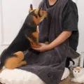 Albornoz de microfibra gris oscuro para perros y gatos, toalla absorbente para mascotas. - 90*110CM