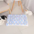 Blue fleece pet mat thick warm puppy cat sleeping blanket cartoon bear print design. - 30x40cm / Blue Bear
