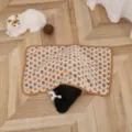 Soft coral fleece pet blanket with star print, warm and cozy mat for cats and dogs. - 40×60cm Blanket / Brown Star
