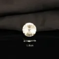 Round glass rhinestone claw drill gem 1.8cm for DIY phone case clothing accessories. - Round Claw Rhinestone / 18x18mm