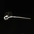 Bastoncino per capelli stile antico argento con design di fenice accessorio fai da te - Argento