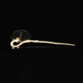 Dettaglio forcina fenice dorata, accessorio per capelli stile cinese antico per fai da te. - oro kc