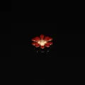 Red enamel daisy flower alloy charm DIY jewelry making accessory crafting supply phone decoration - Burgundy