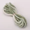Green and white braided hemp rope 3.5mm thick DIY handmade keychain pendant accessory - 3 Meters Pack (Approx 3.5mm) / #16 Gradient Green