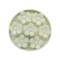 Silicone pet slow feeder mat with suction cups for dogs, anti-choking floral design bowl. - Cat Claw Flower / Grey Green