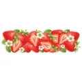 Strawberry theme decorative sticker border, vibrant red fruit and flower pattern for summer party. - 1-Piece Pack