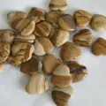Mixed natural jasper heart-shaped stones featuring unique earthy landscape patterns - Picture Jasper