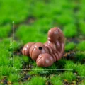 Mini braune Raupe Harz Figur, DIY Mikro Landschaftsdekoration Tisch Ornament 1.8cm - Skorpion Groß Einfarbig (3#)