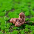 Miniatur braune Kunstharz Raupe Figur für Mikrolandschaft DIY Desktop Dekoration Stück - Skorpion Klein Einfarbig (9#)