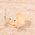 Mini luminous turtle figurine for micro landscape, cute desktop ornament, 2.6cm size. - Orange