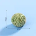 Miniatura resina melon fruta estatuilla DIY micro paisaje decoracion accesorio juguete 1pz - 20# Cantalupo