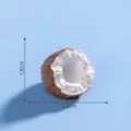 Mini colgante de resina de coco, accesorio de decoracion de frutas micro paisaje - 42# Nata de coco