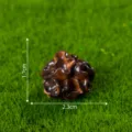 Miniature simulation champignon noir nourriture jeu DIY ornement décoratif miniature - 11# Champignon noir