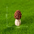 Figurine champignon morille miniature micro paysage bonsai DIY déco accessoire sur mousse - 8# Morille