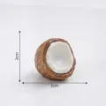 Mini adorno de coco de resina, modelo de fruta realista y lindo para accesorios de micropaisaje DIY. - Coco pelado a la mitad