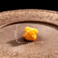 Miniature resin fried chicken food model for DIY micro landscape dollhouse decor and crafts. - 0.9cm x 0.8cm