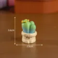 Miniatuur schattige vetplant cactus in pot ornament bureau micro landschap decoratie item - Nr. 5 Expressie Groen