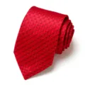 Detail shot of red jacquard pattern men's business tie rolled up nicely for formal wear. - Red