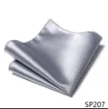 Stijlvolle zilver-grijs geruite heren pochet pak accessoire zakdoek detail weergave. - 12356-SP207