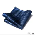 Close-up detail van een stijlvolle blauwe gestreepte pochet, premium stof voor heren pak. - 12356-SP221