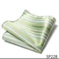 Gedetailleerd overzicht van een elegante groen gestreepte heren pochette voor pakken. - 12356-SP228