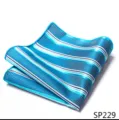 Heren blauw gestreepte pochet zakdoek voor heren pak mode accessoire detail weergave - 12356-SP229