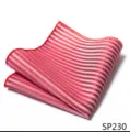 Gedetailleerd overzicht van rood-witte gestreepte herenpochet voor formele pakken. - 12356-SP230