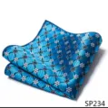 Gedetailleerd weergave van blauwe heren pochet met geometrisch patroon en gladde textuur. - 12356-SP234